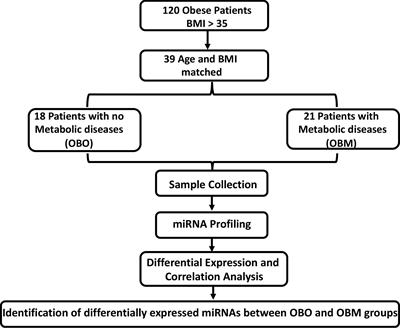 Characteristic MicroRNAs Linked to Dysregulated Metabolic Pathways in Qatari Adult Subjects With Obesity and Metabolic Syndrome